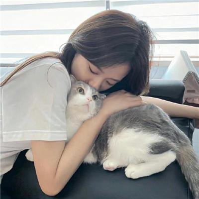 大白鲨4:复仇